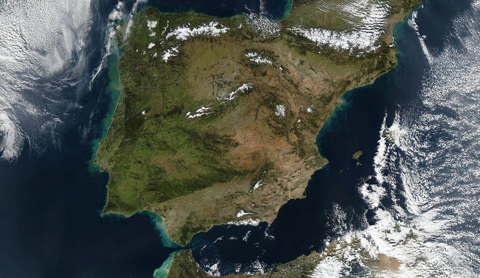 Fiet combate la trata de seres humanos.