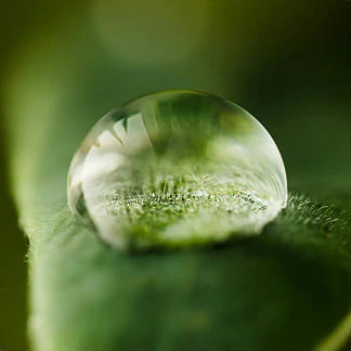 Fiet combate la trata de seres humanos.